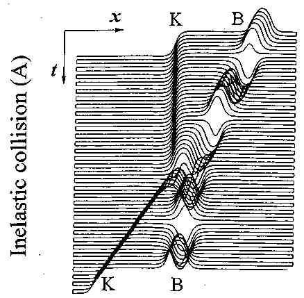 p61.jpg